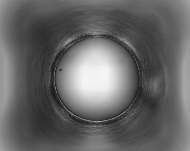 X0000087610631200704271101