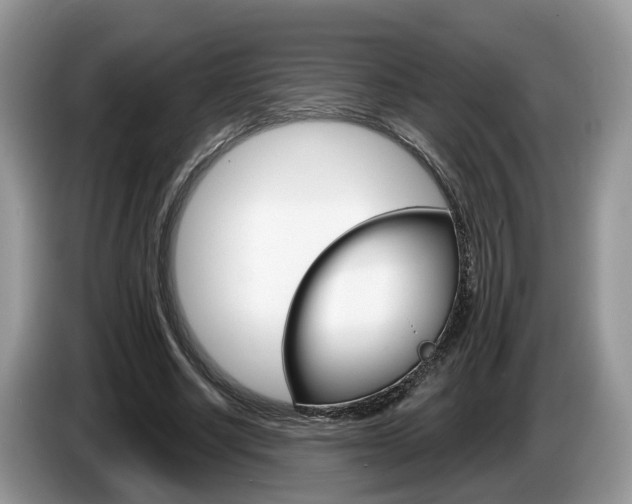 X0000087610634200704271101