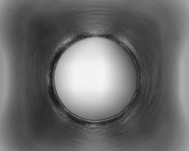 X0000087610635200704271101