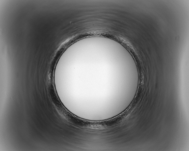 X0000087610636200704271101