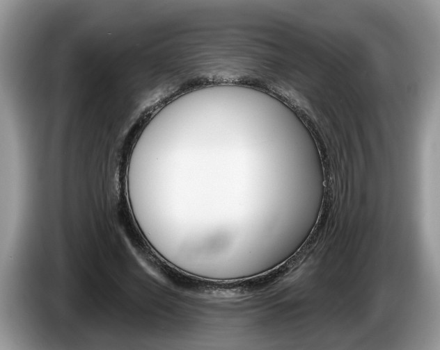 X0000087610638200704271101
