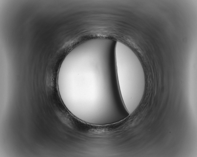 X0000087610639200704271101