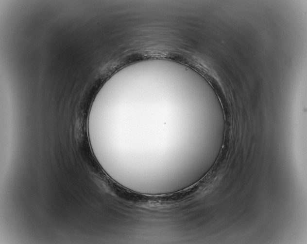 X0000087610641200704271101