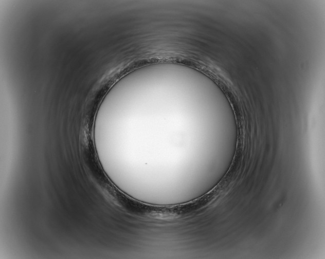X0000087610644200704271101