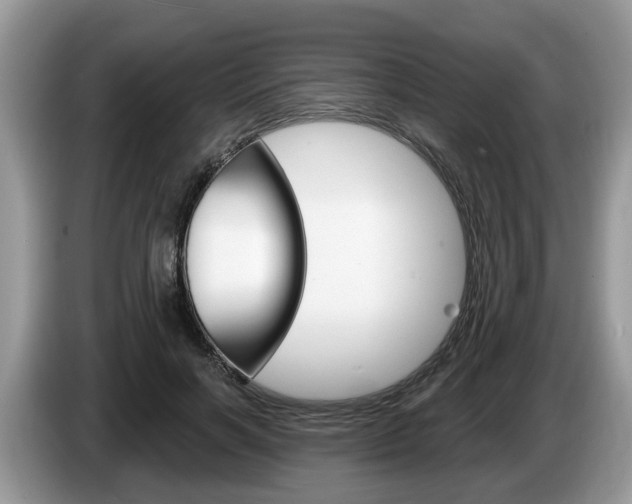 X0000087610646200704271101