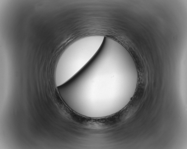 X0000087610648200704271101
