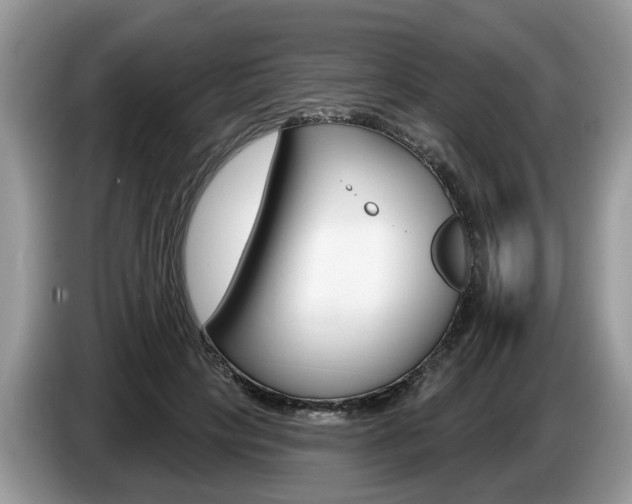 X0000087610649200704271101
