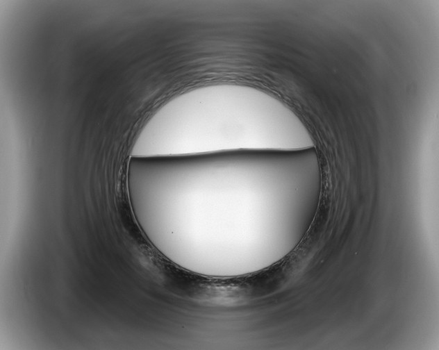 X0000087610650200704271101