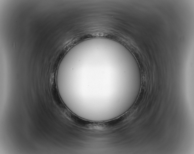 X0000087610652200704271101