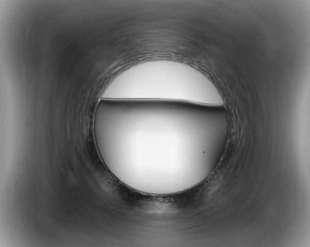 X0000087610656200704271102