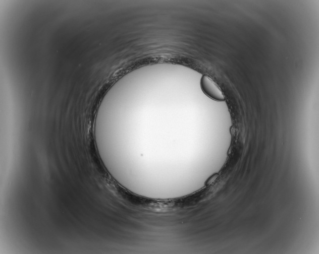 X0000087610660200704271102