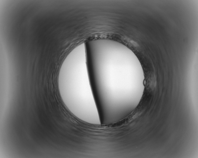 X0000087610661200704271102