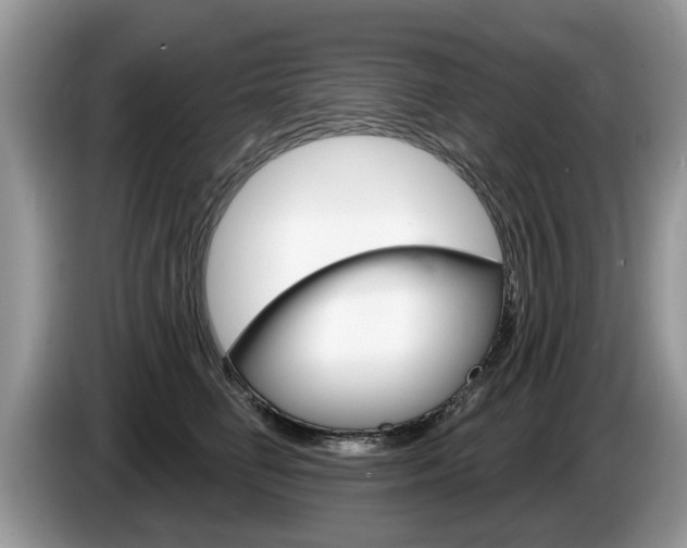 X0000087610662200704271102