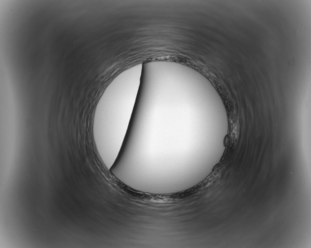 X0000087610666200704271102