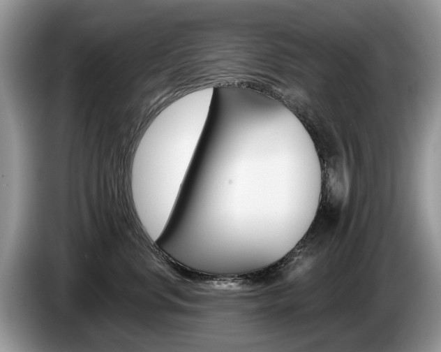 X0000087610668200704271102