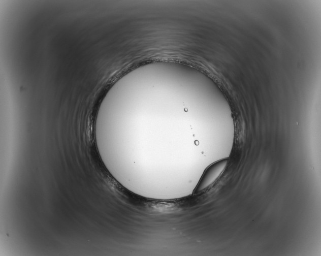 X0000087610669200704271102