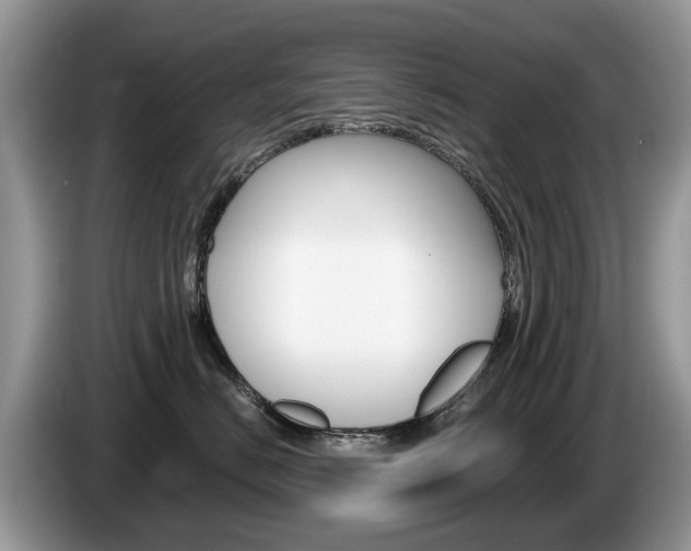 X0000087610670200704271102