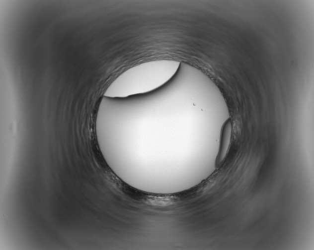 X0000087610671200704271102