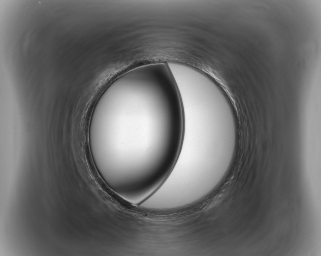X0000087610673200704271101