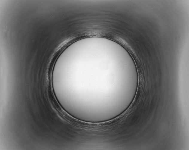 X0000087610674200704271101