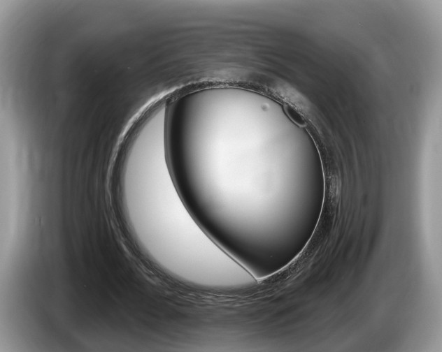 X0000087610676200704271101