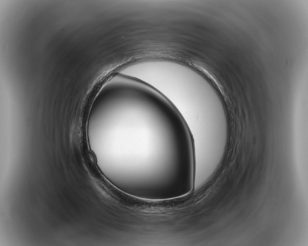 X0000087610677200704271101