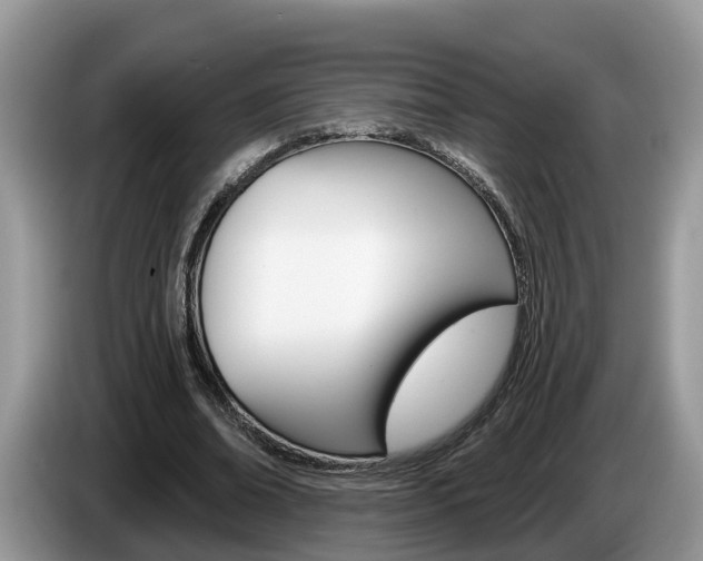 X0000087610678200704271101