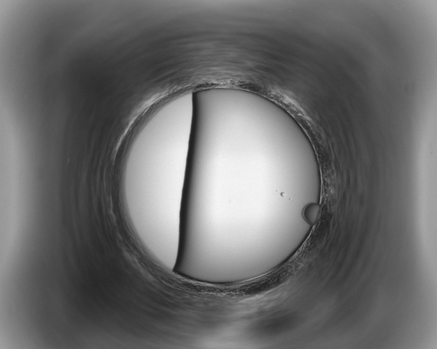 X0000087610679200704271101