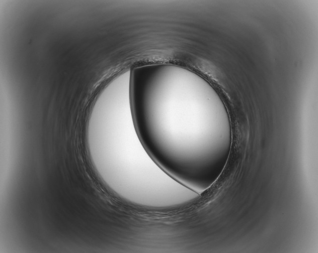 X0000087610681200704271101