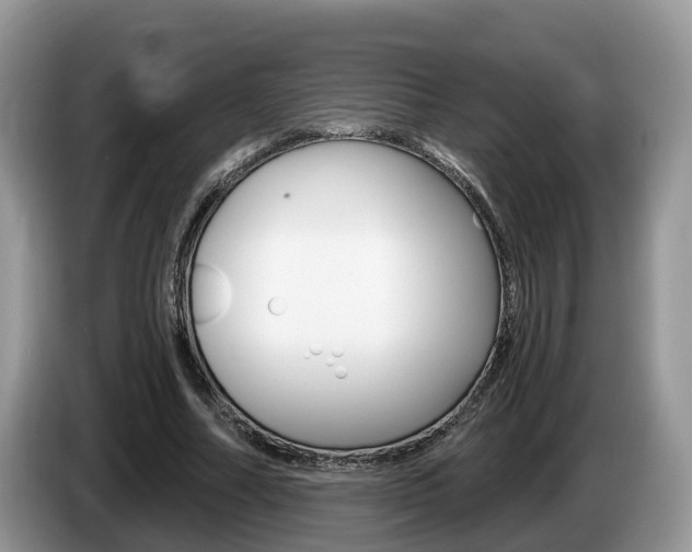 X0000087610682200704271101