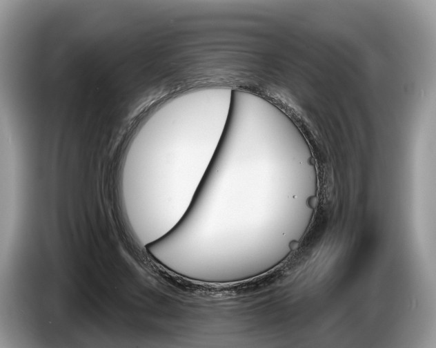 X0000087610683200704271101