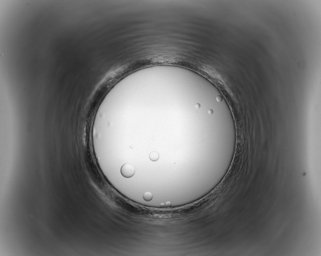 X0000087610686200704271101