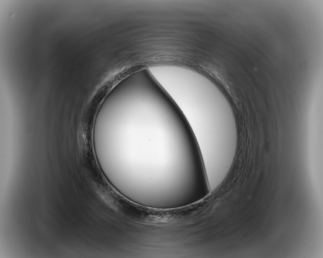 X0000087610688200704271101