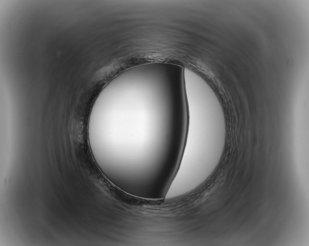 X0000087610689200704271101