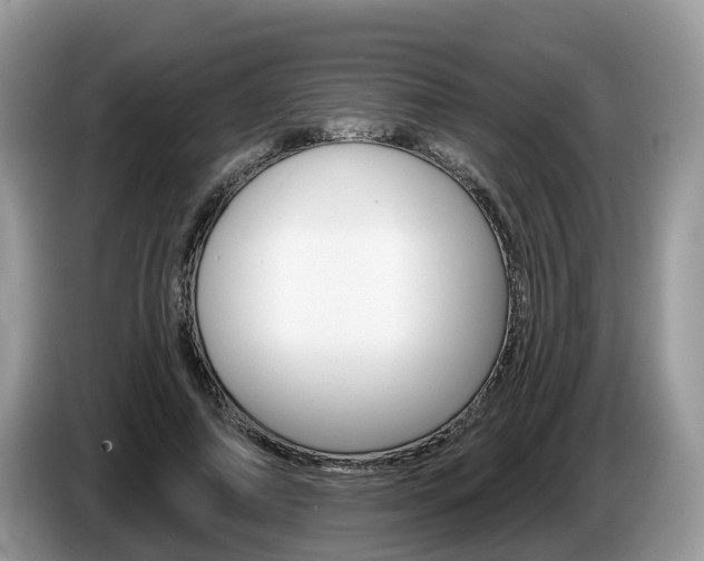 X0000087610690200704271101