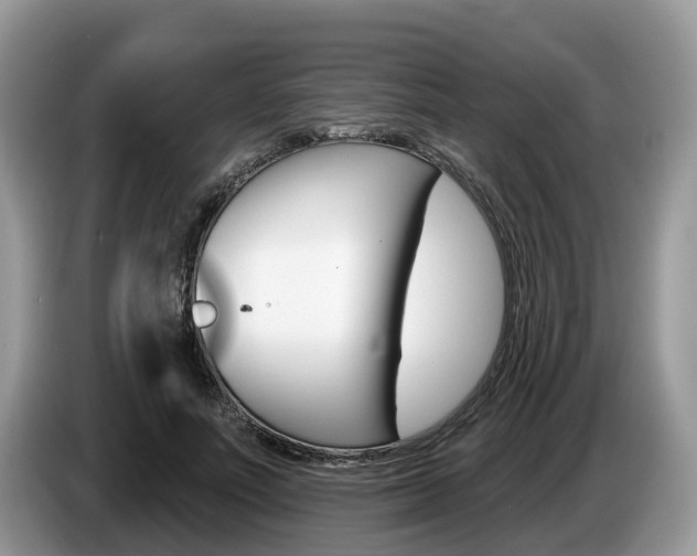 X0000087610691200704271101