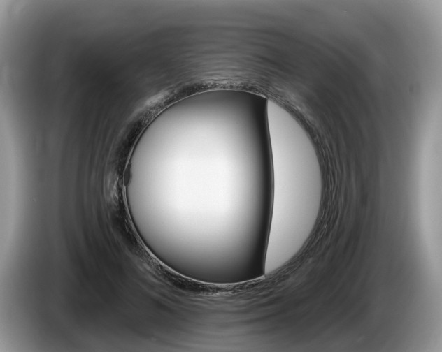 X0000087610692200704271101