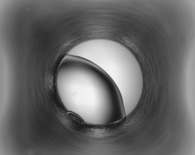 X0000087610693200704271101