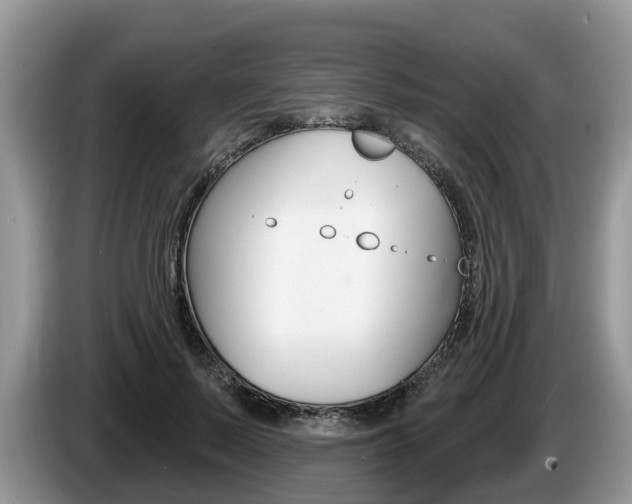 X0000087610695200704271101