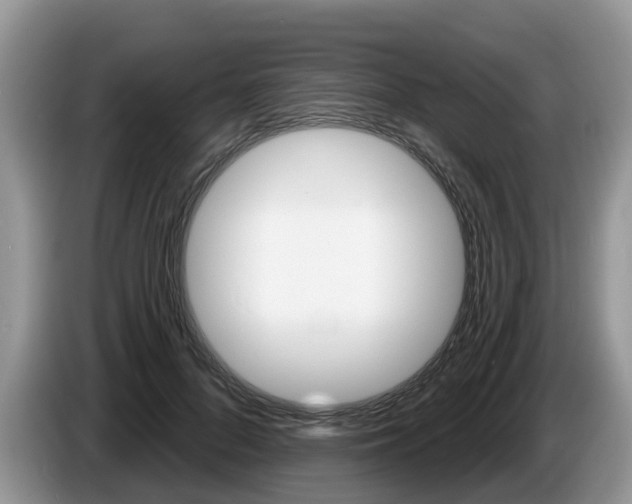 X0000087610696200704271101