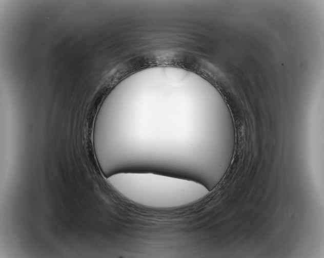 X0000087610698200704271101