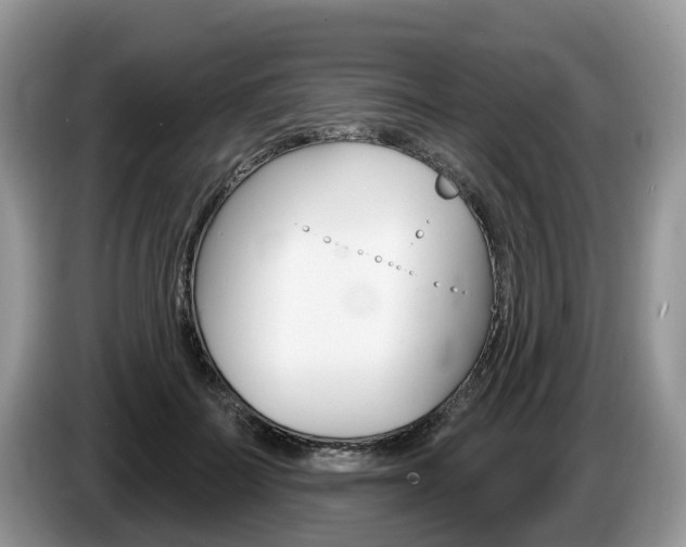 X0000087610699200704271101