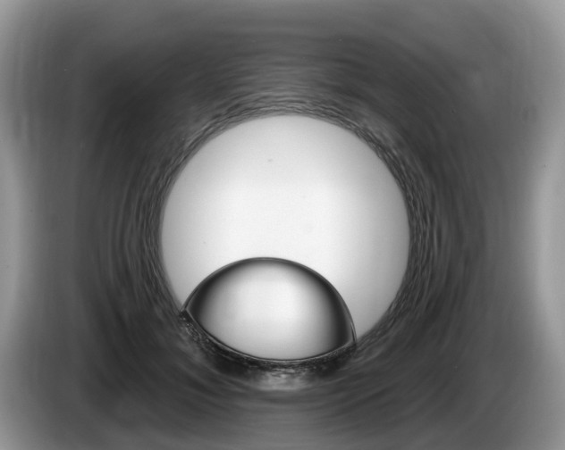 X0000087610700200704271101