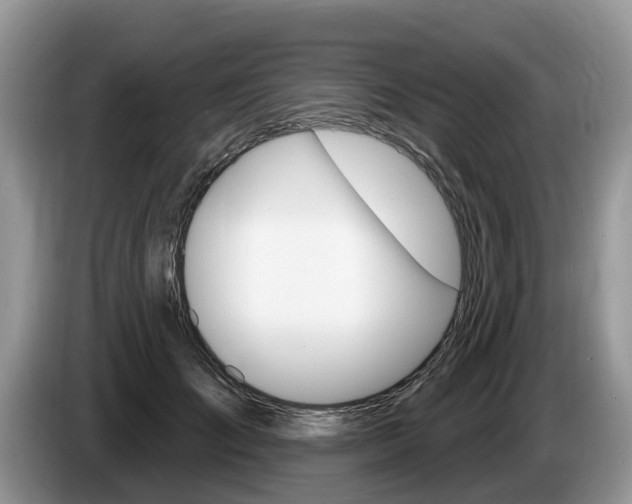 X0000087610701200704271101