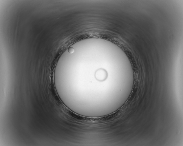 X0000087610702200704271101