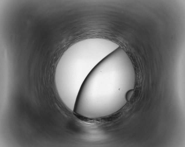 X0000087610703200704271101