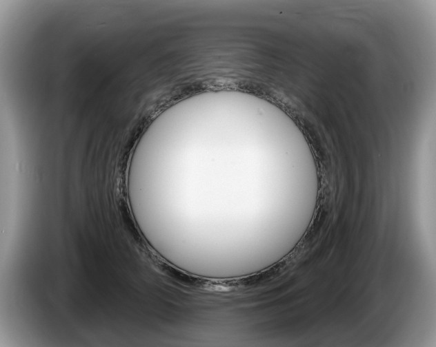 X0000087610706200704271101