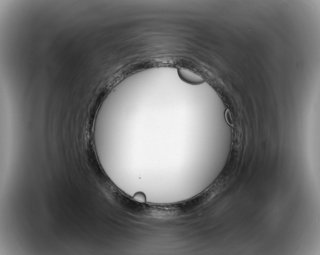 X0000087610707200704271101