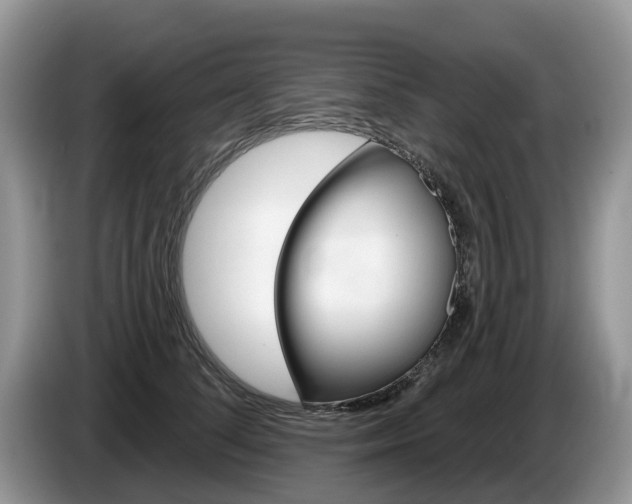 X0000087610708200704271101