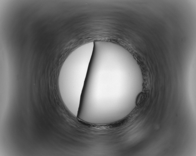 X0000087610711200704271101